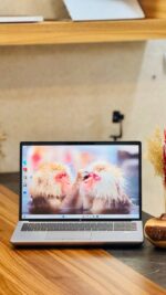 لپ تاپ اچ پی HP ZBOOK 16 FURY